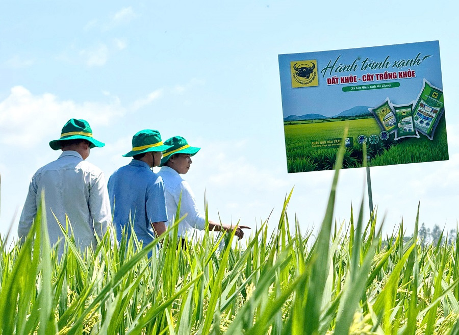 Đất khỏe, cây khỏe, người nông dân thêm niềm tin