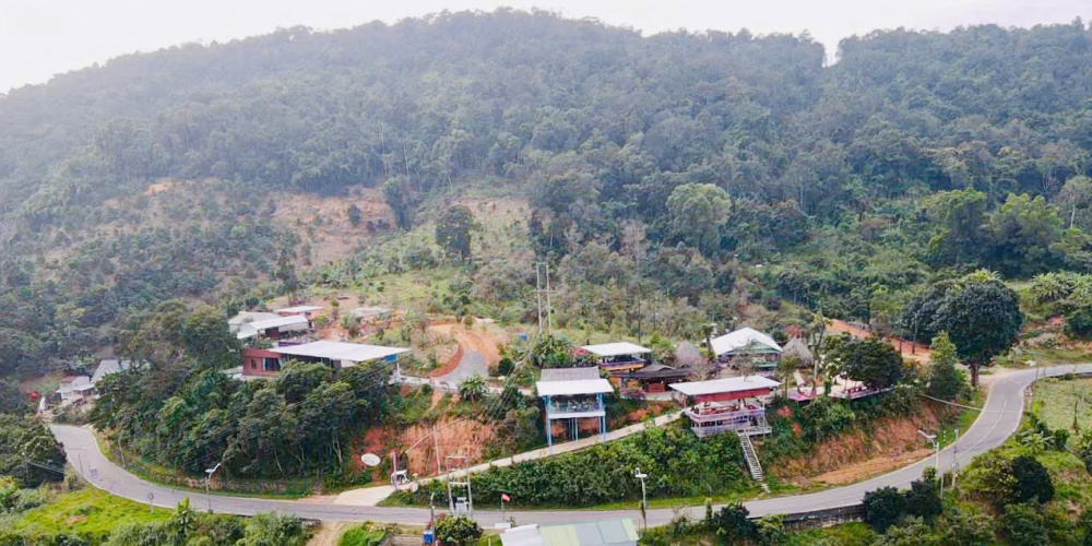 La Dạ