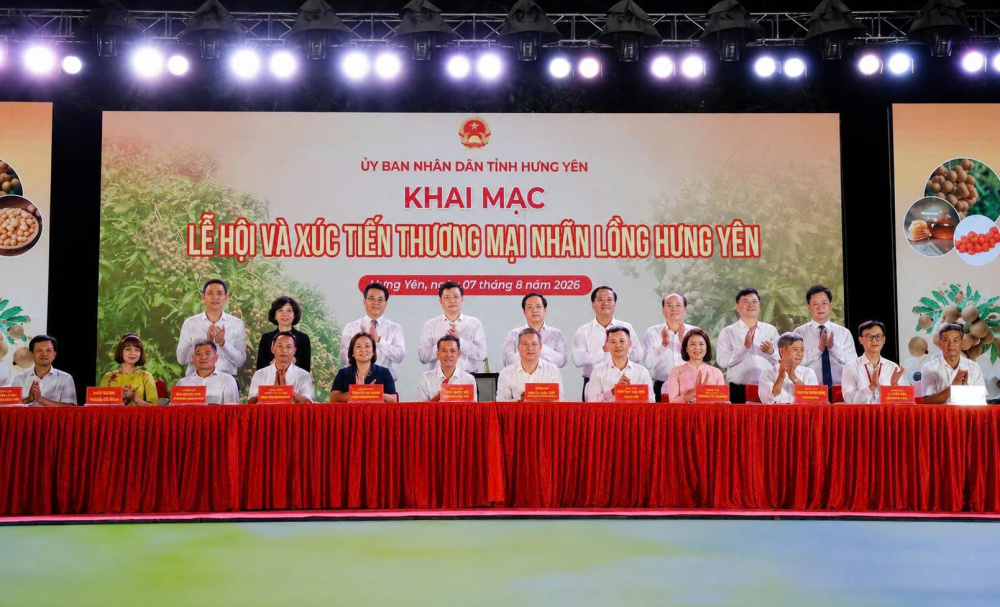 nhãn lồng Hưng Yên