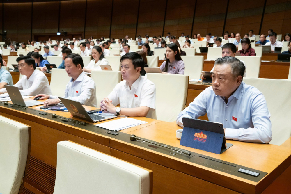 Các đại biểu tham dự phiên thảo luận