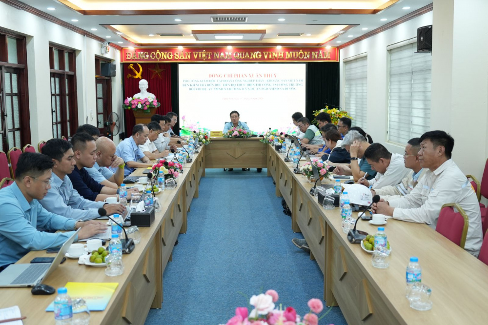 dự án 6