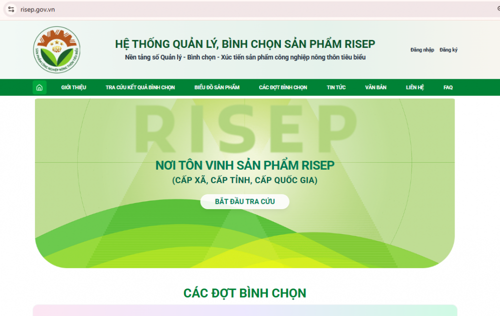 Bình chọn RISEP