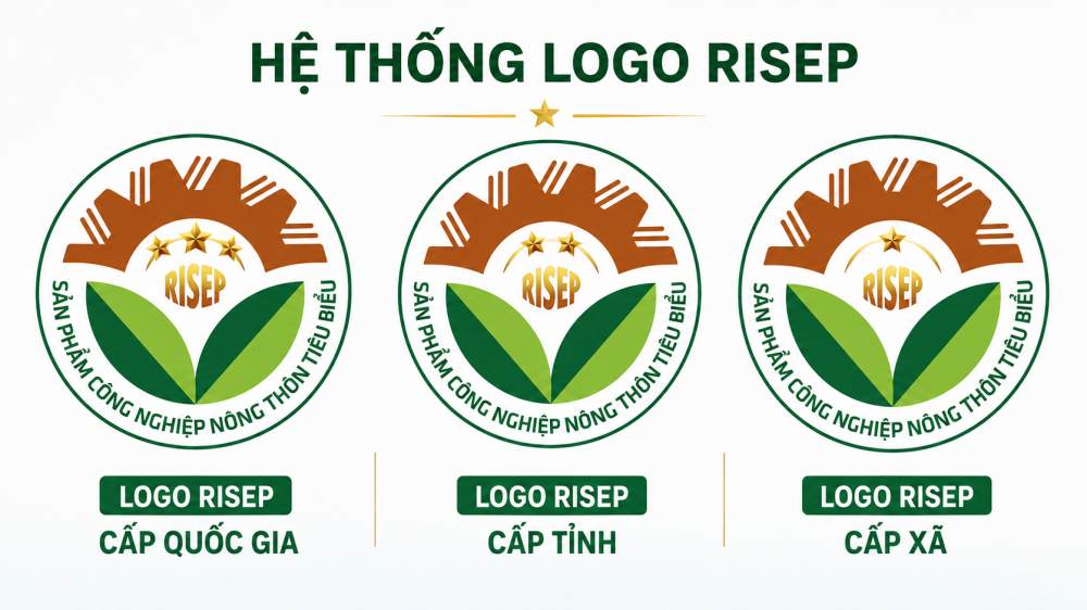 Bình chọn RISEP