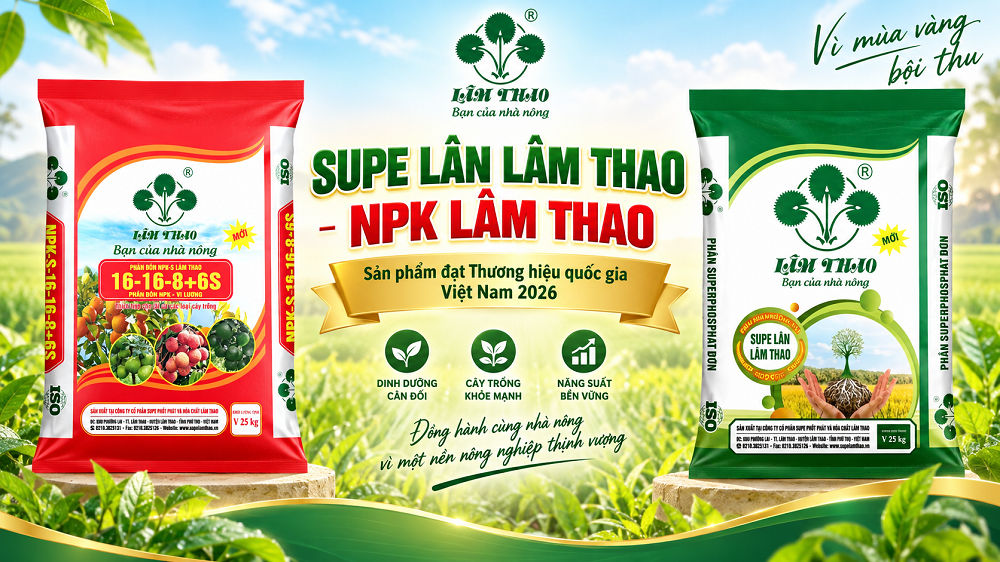Supe Lân Lâm Thao