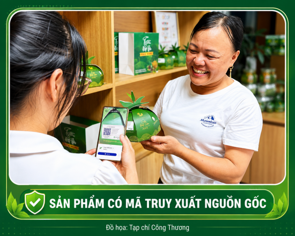 Phú Thọ
