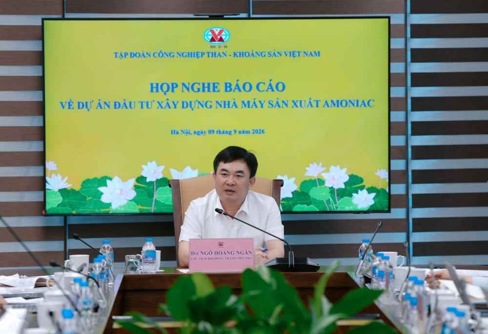 dự án 3