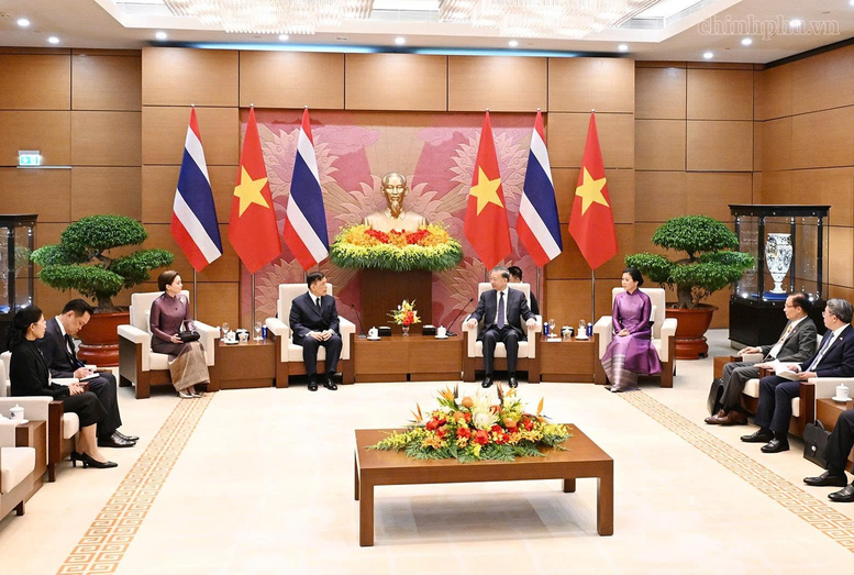 Tổng Bí thư, Chủ tịch nước Tô Lâm hội đàm với Nhà Vua Thái Lan- Ảnh 3.