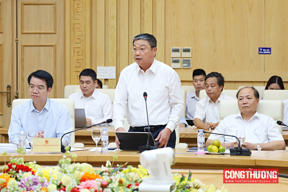 Ông Trần Bình Trọng, Cục trưởng Cục Địa chất và Khoáng sản Việt Nam