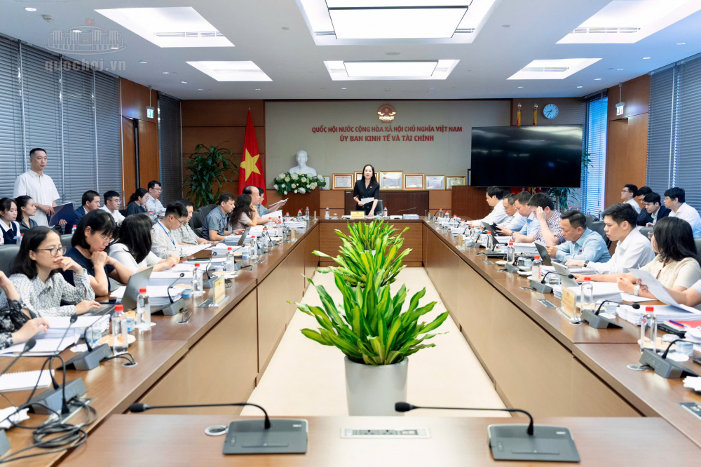 Toàn cảnh phiên họp thẩm tra sơ bộ dự án Luật Giao dịch hàng hóa phái sinh