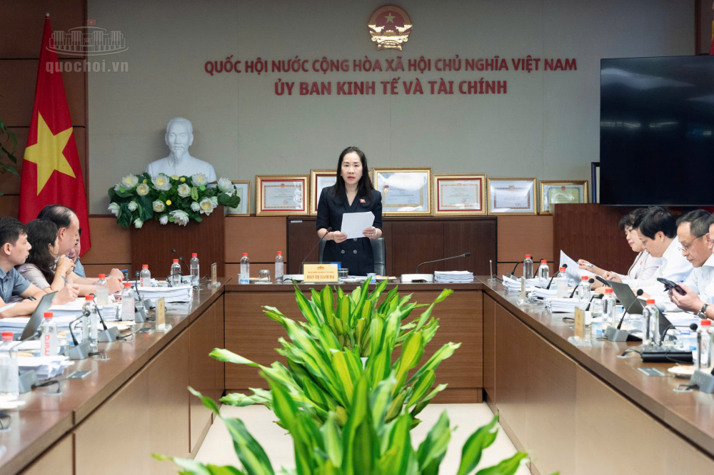 Phó Chủ nhiệm Uỷ ban Kinh tế và Tài chính Đoàn Thị Thanh Mai phát biểu kết luận