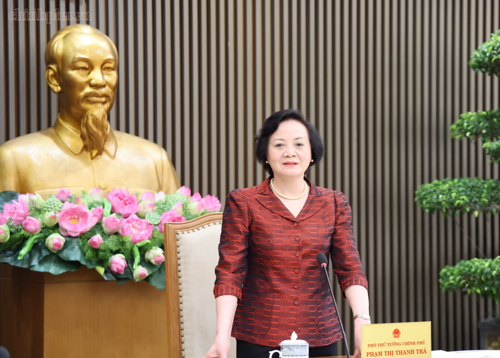 Thúc đẩy hệ sinh thái 'kinh tế bạc', bảo vệ người cao tuổi trên không gian mạng