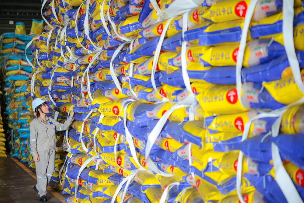 Phú Mỹ