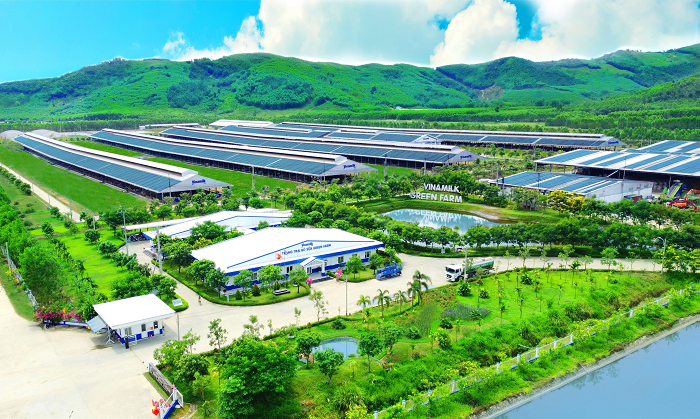 50 năm Vinamilk Không ngừng nâng chuẩn tiếp tục được đặt vào những bài toán mới về dinh dưỡng, công nghệ và phát triển bền vững. Anh: Vi Nam.