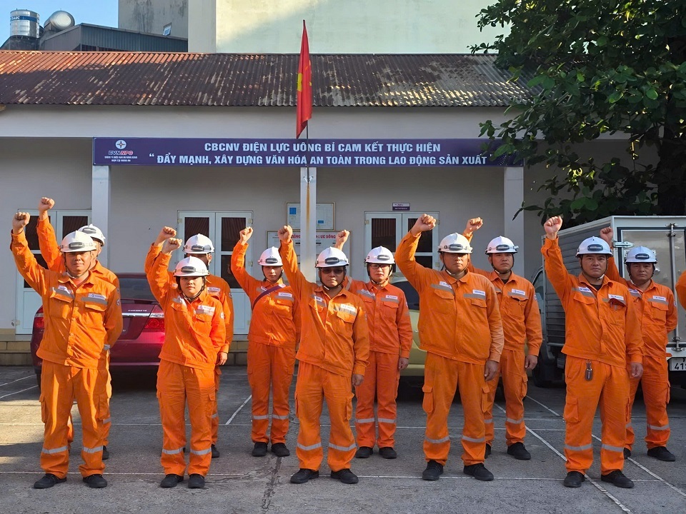 Công ty Điện lực Quảng Ninh