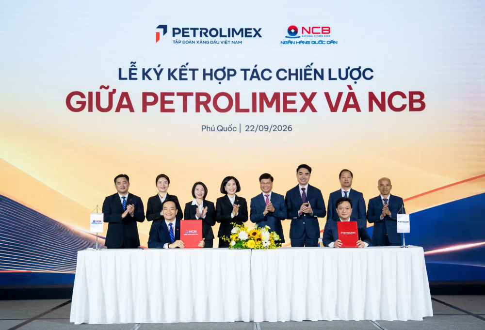 hợp tác 3