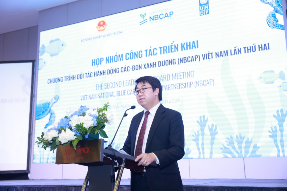 họp về các - bon xanh dương