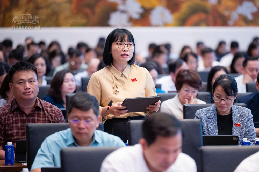 Luật sửa đổi, bổ sung một số điều của Luật Điện lực