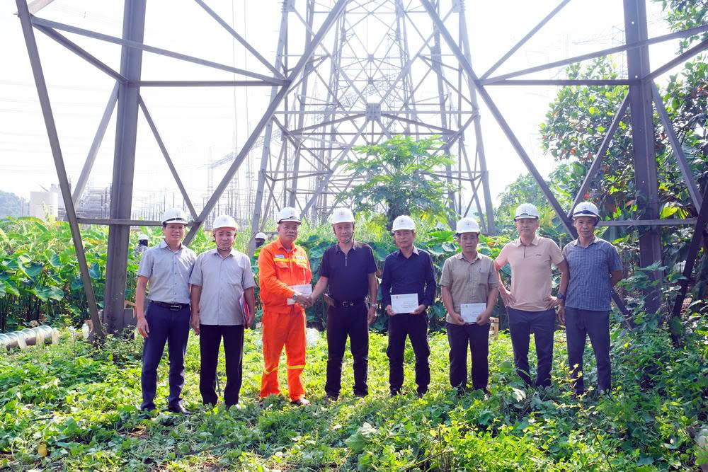 Thay cách điện 84 vị trí trên đường dây truyền tải điện 500kV Nho Quan - Thường Tín