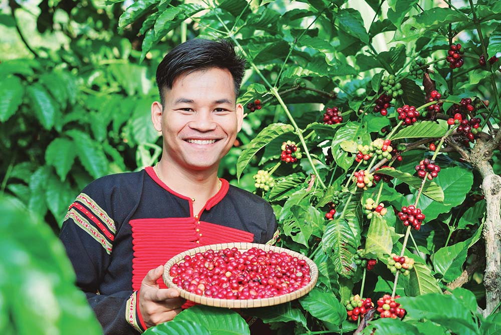 Ông Y Pốt Niê - Giám đốc Công ty Cổ phần Ê Đê Cà phê đã đưa bản sắc văn hóa vào sản phẩm, góp phần đưa đặc sản địa phương vươn ra thị trường quốc tế. Nguồn: Ê Đê Café