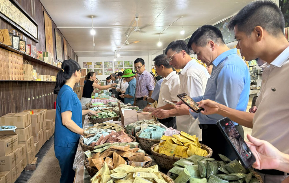 Ninh Bình