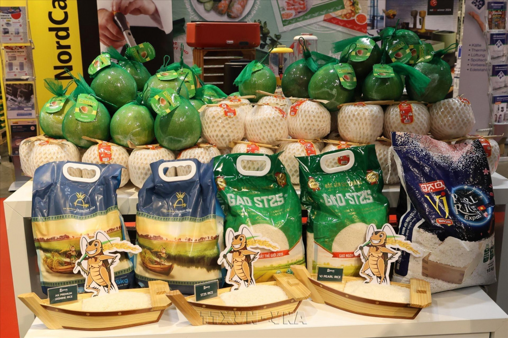Từ hạt gạo, ly cà phê đến những hương vị Việt trên bản đồ thế giới