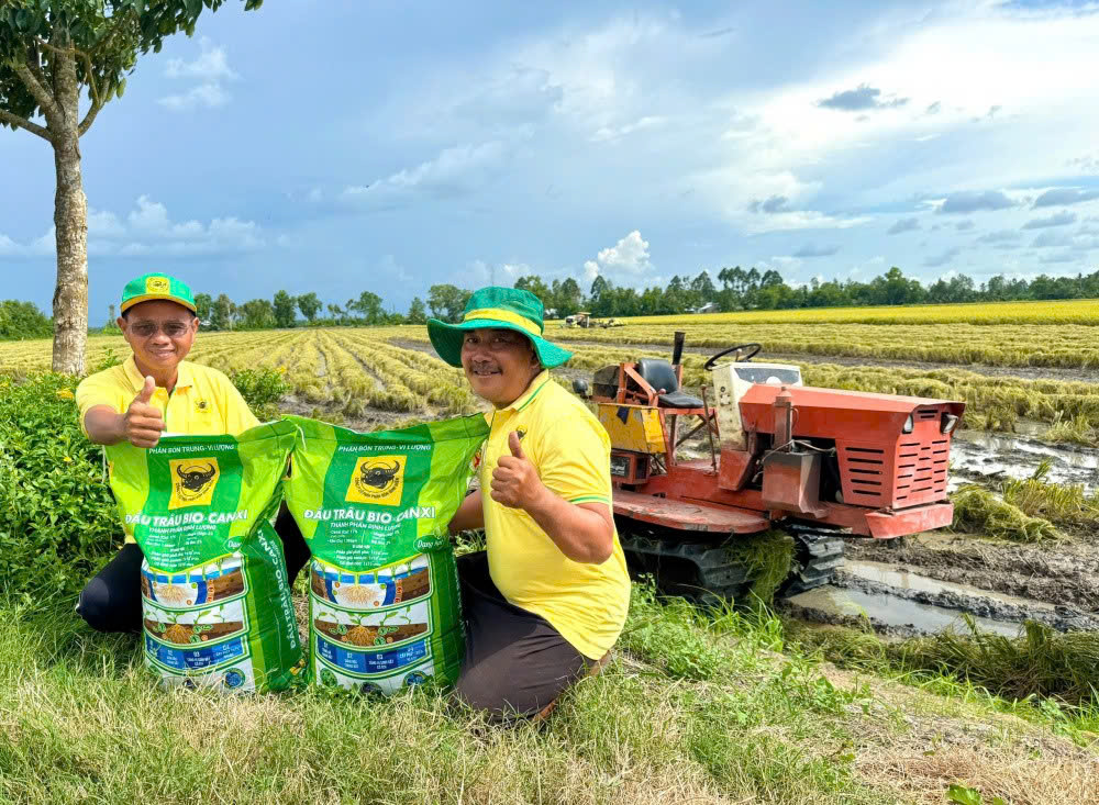 Đầu Trâu Bio-Canxi góp phần hướng tới canh tác lúa bền vững, giảm phát thải