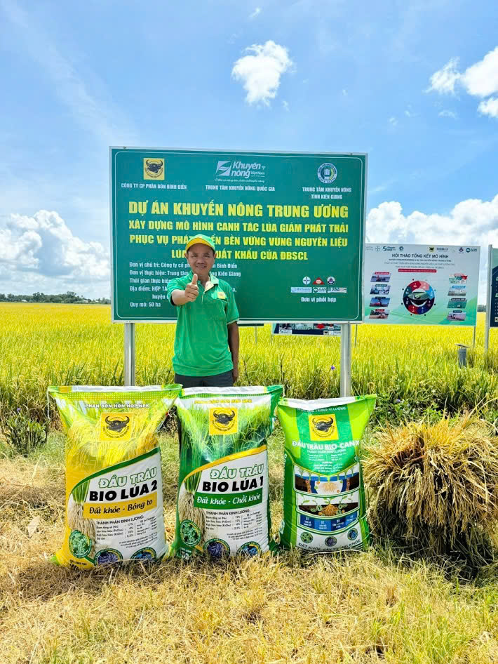 Đầu Trâu Bio-Canxi góp phần hướng tới canh tác lúa bền vững, giảm phát thải