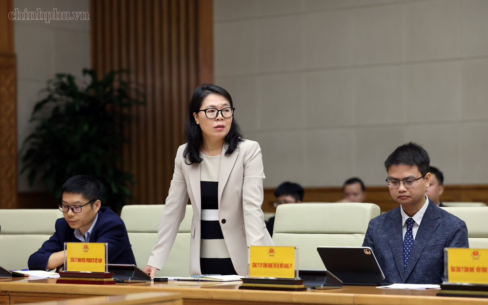 Đại diện các doanh nghiệp phát biểu - Ảnh: chinhphu.vn/Phương Nguyên