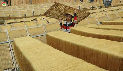 MS 14 - Tác giả Nguyễn Quốc Huy với tác phẩm "NGhề làm mỳ vàng truyền thống tại Đồng Nai"