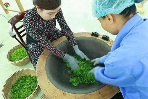 Mã số MS 02: Tác giả Nguyễn Thi Hiền   "Những đôi tay tài hoa của người thợ hái chè đã làm nên sản phẩm trà có hương thơm ngậy cốm tự nhiên, nước xanh sánh như mật ong, vị chát nhẹ vừa đủ, ngọt hậu lắng sâu trong cổ làm ấn tượng lòng người mỗi khi thưởng trà ..." - ảnh chụp khâu chế biến chè tại Công ty CP Chè Hà Thái. 