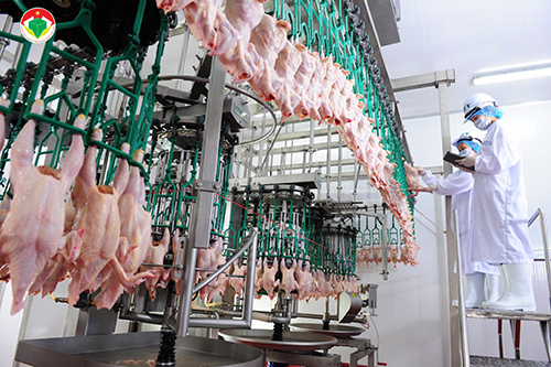 MS 03: - Tác giả Trần Quân   "Dây chuyền chế biến hiện đại, tuân thủ nghiêm ngặt các quy định về an toàn thực phẩm của Công ty CP Chăn nuôi C.P. Việt Nam".