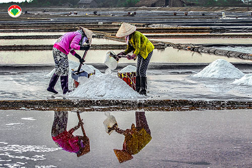 MS 04: Tác giả Nguyễn Văn Sẵng  "Soi bóng - mô hình sản xuất muối sạch bằng phương pháp trải bạt trên nền ô kết tinh tại xã Tri Hải, huyện Ninh Hải, Ninh Thuận đã thu hút nhiều hộ diêm dân tham gia