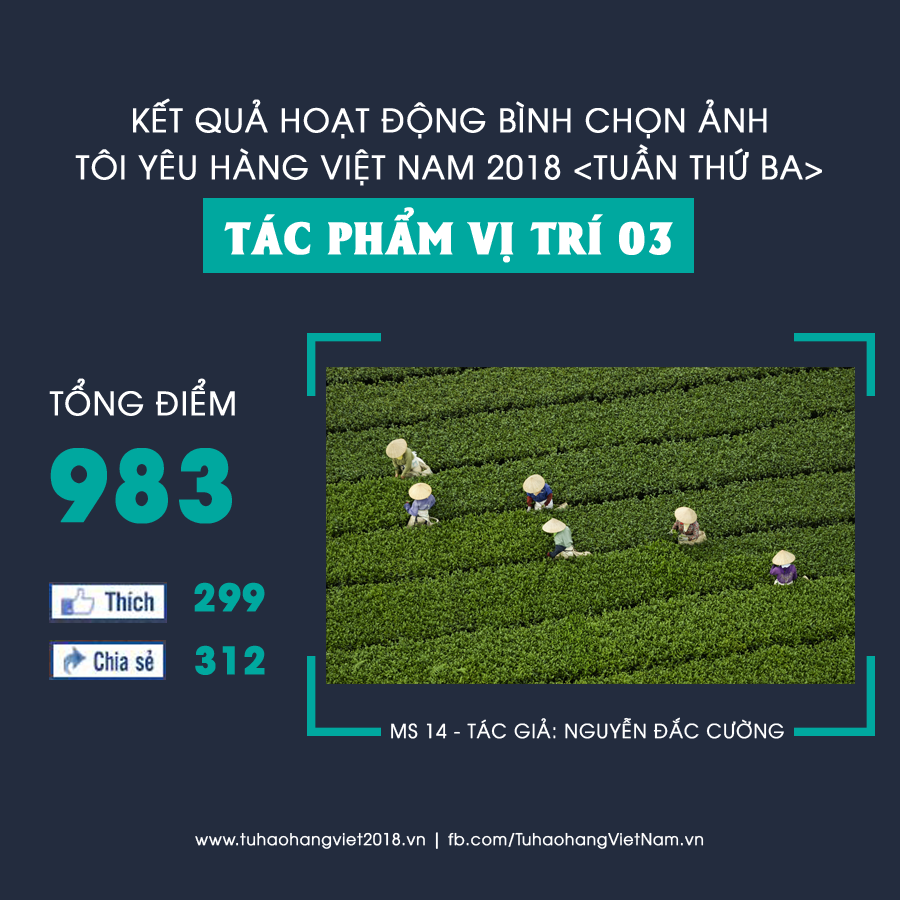 Tác phẩm MS 14 "Những nốt nhạc vui trên đồi chè Mộc Châu" của tác giả Nguyễn Đắc Cường với 983 điểm bình chọn đứng thứ ba trong Album Bình chọn ảnh Tuần thứ Ba Tác phẩm MS 14 "Những nốt nhạc vui trên đồi chè Mộc Châu" của tác giả Nguyễn Đắc Cường với 983 điểm bình chọn đứng thứ ba trong Album Bình chọn ảnh Tuần thứ Ba
