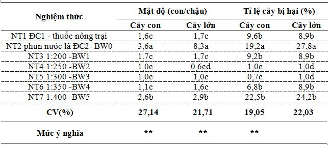 anh_huong_cua_phun_giam_tre_den_mat_do_va_ti_le_bi_hai_do_sau_to_tren_cay_cai_xanh_trong_chau