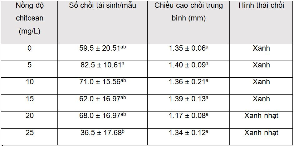 anh_huong_cua_chitosan_len_su_tai_sinh_choi_tu_plbs_lan_thach_hoc_tia_sau_60_ngay_nuoi_cay
