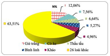 5-to-thanh-cay-tai-sinh-cua-rung-trang-thai-iib