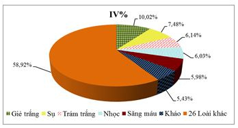 to-thanh-thuc-vat-than-go-trang-thai-rung