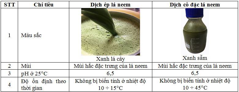 ac-iem-cua-dich-ep-va-dich-co-ac-la-neem
