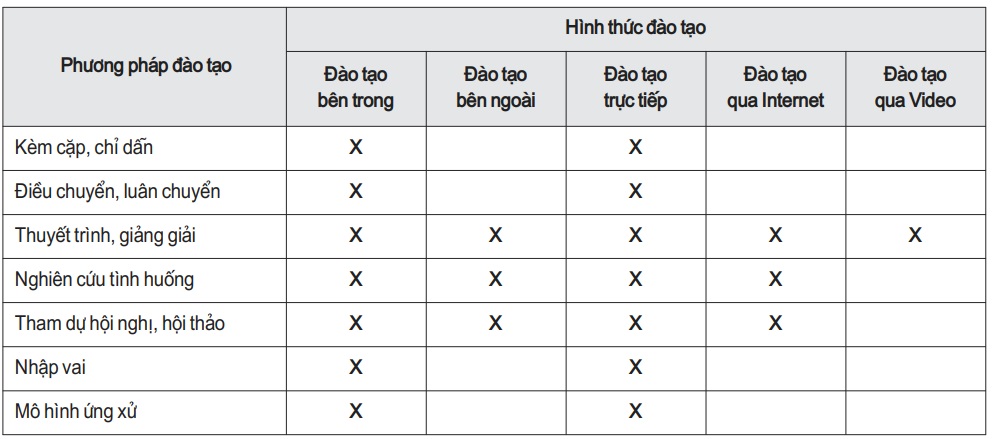 đào tạo nhân lực