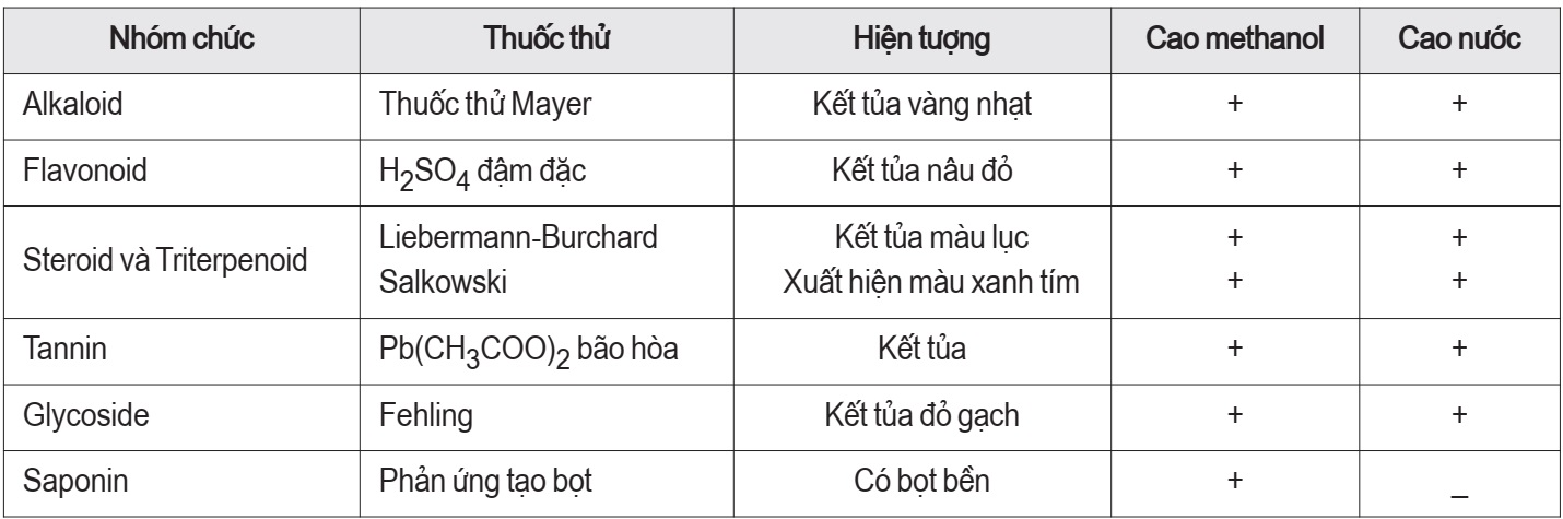 cây Mua
