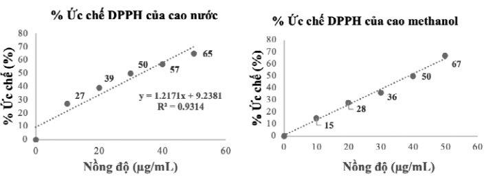 hàm lượng flavonoid
