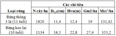 đất nâu đỏ bazan