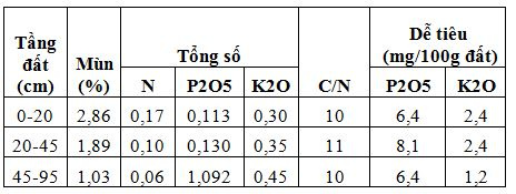 đất nâu đỏ bazan