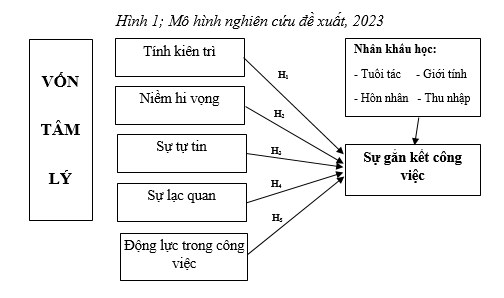 sự gắn kết