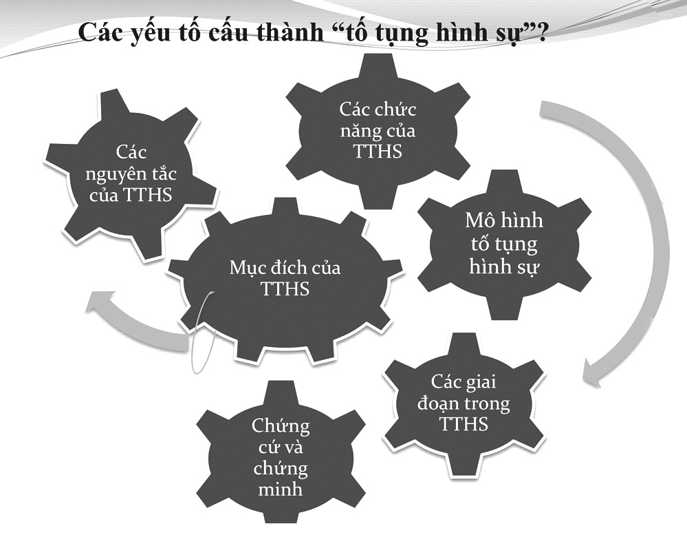 tố tụng hình sự