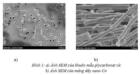 dây nano Co