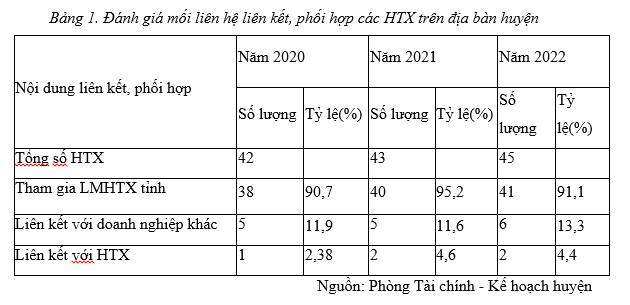 hợp tác xã