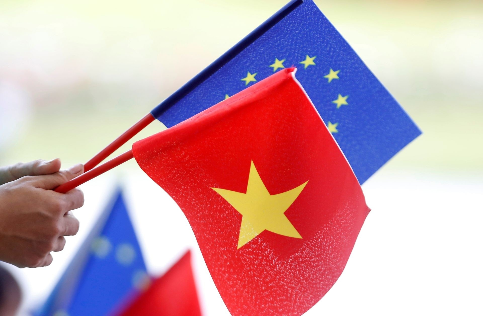 hiệp định evfta