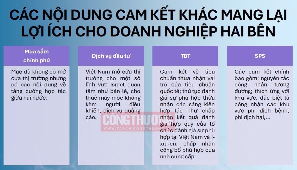 cam kết VIFTA