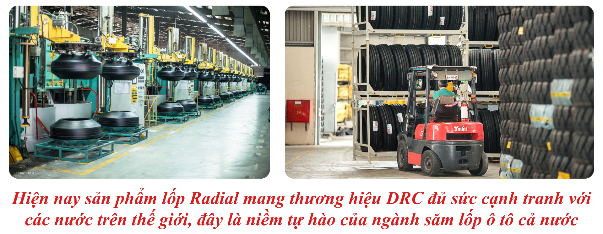 Công ty Cổ phần Cao su Đà Nẵng